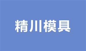 【溫州市精川模具制造廠】浙江,溫州,模具,鎖·模具,腳輪模具,其它模具
